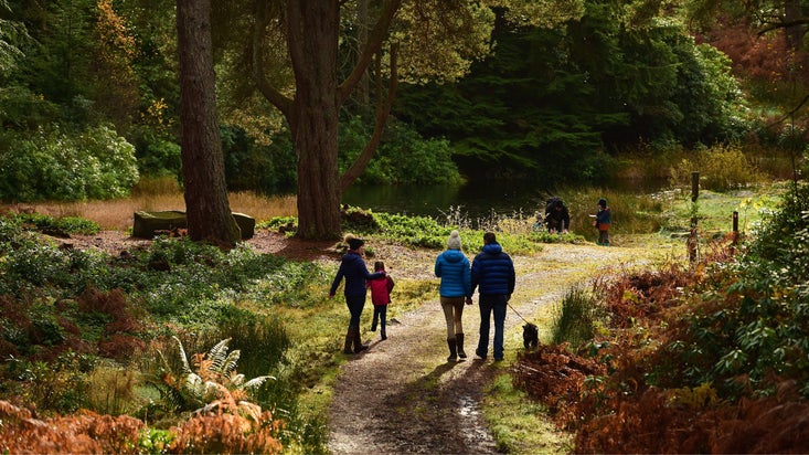 A family of four walking along a twisting path at Cragside. They are in the Debdon Valley. It's autumn and the trees are beginning to turn. Some leaves are orange and gold.